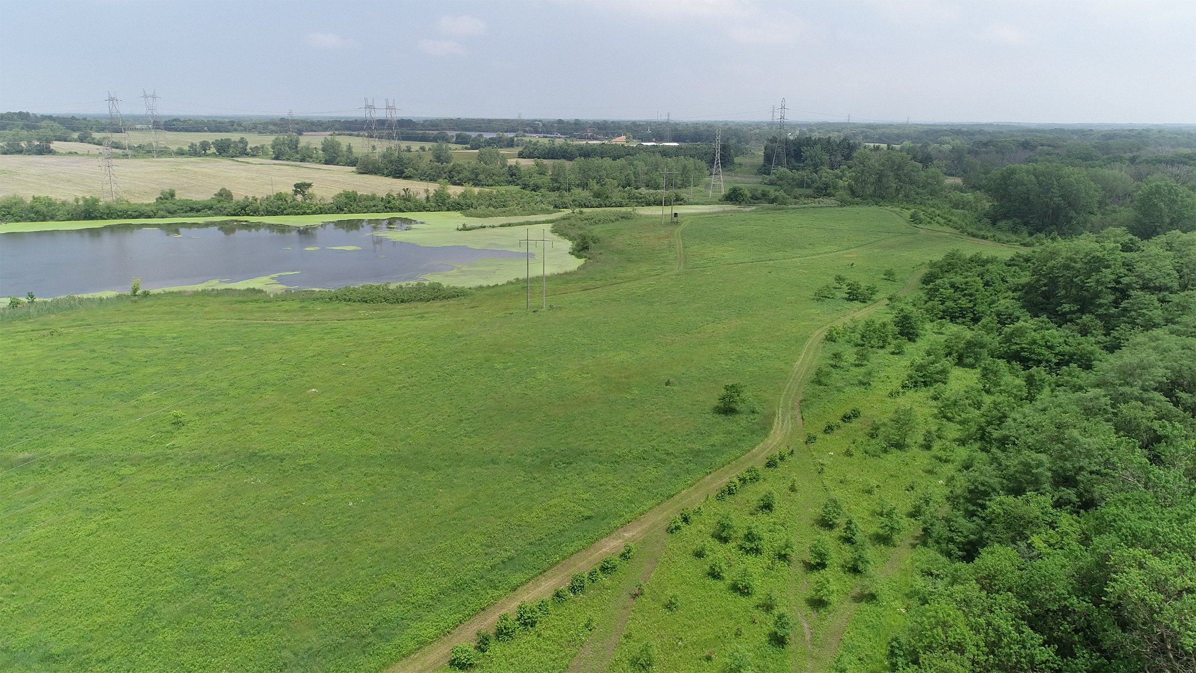 Lake County, Indiana farmland - LAND AUCTION - 147+/- ACRES OFFERED IN 3 TRACTS IN LAKE COUNTY, INDIANA